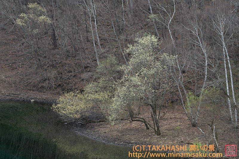 ../Images/7R250420 (14).jpg